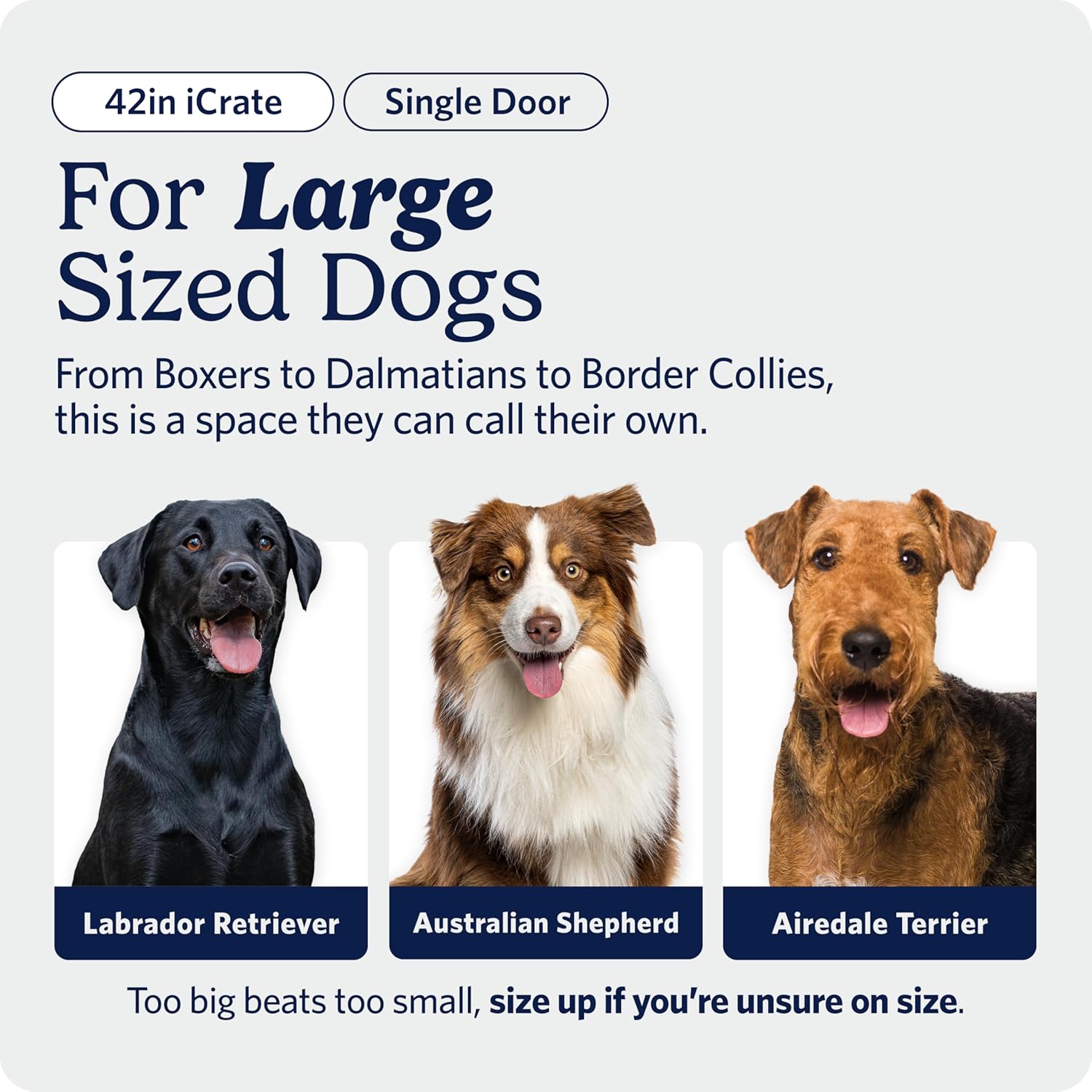 AUCT 12028 - $118 MidWest Homes for Pets 42-Inch iCrate for Large Breeds, - Image 2