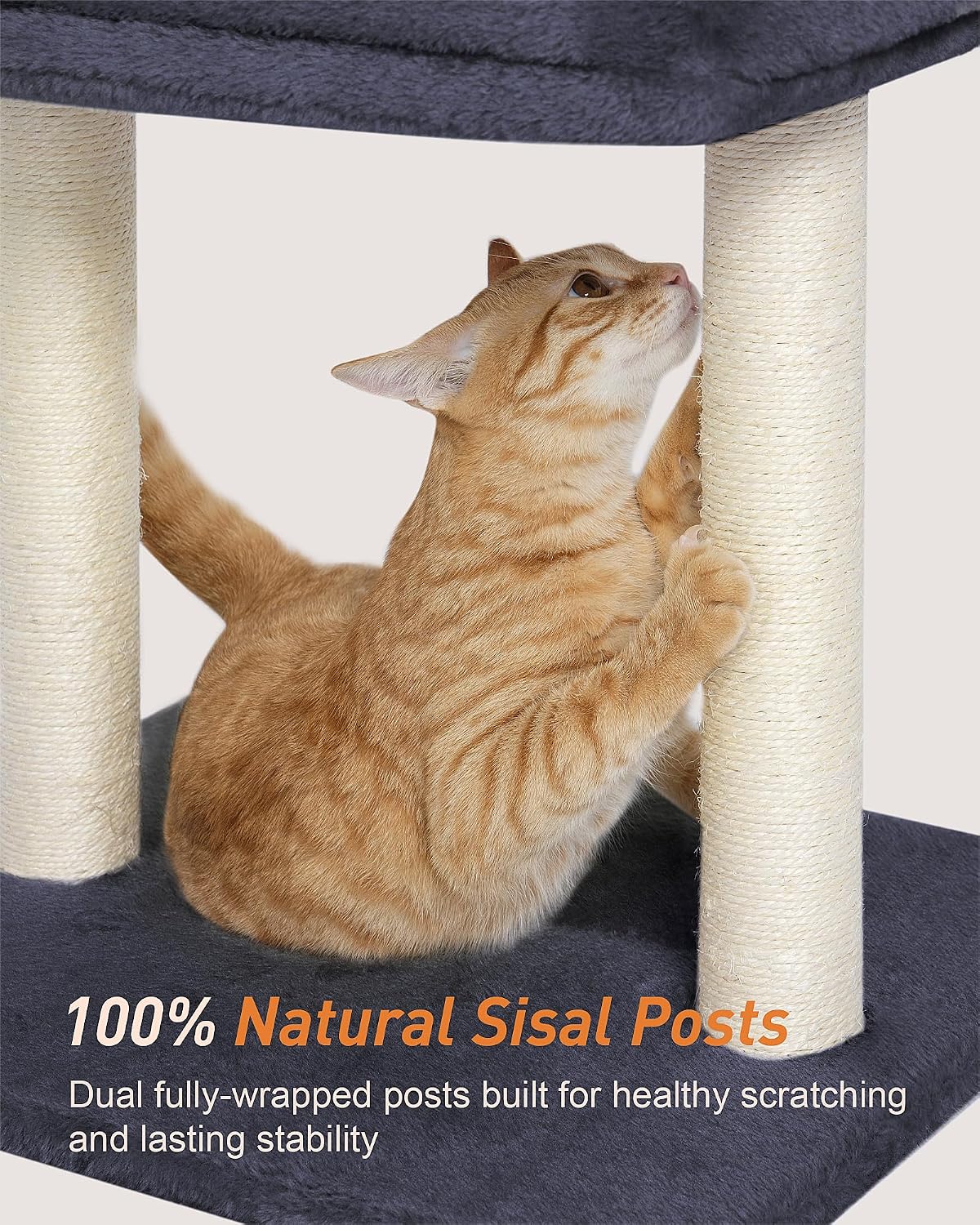 AUCT 13393 - Cat Tree with Large Top Perch Bed (19" 15.8"), Small Cat Tow - Image 3