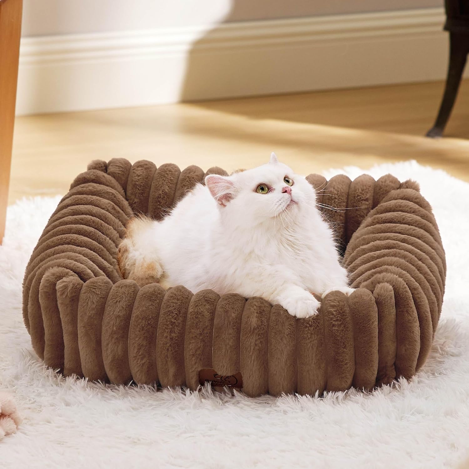 AUCT 14267 - Bedsure ComfyFleece Cute Dog Bed for Small Dogs & Cats - Wa