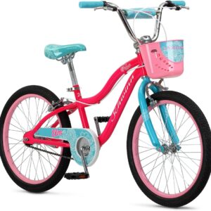 AUCT 12739 - $240 Schwinn Koen & Elm Big Kid Bike