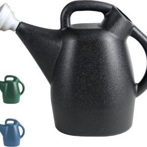 AUCT 13727 - Chapin 47998: 2 Gallon Watering Can for Indoor & Outdoor Pla