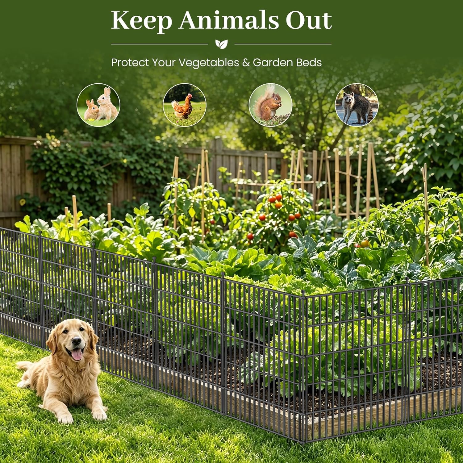 AUCT 13793m - $136 10 Panels No Dig Decorative Outdoor Garden Fence with G - Image 3