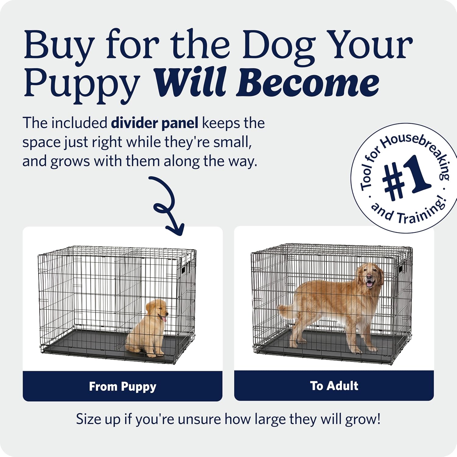 AUCT 12028 - $118 MidWest Homes for Pets 42-Inch iCrate for Large Breeds, - Image 3