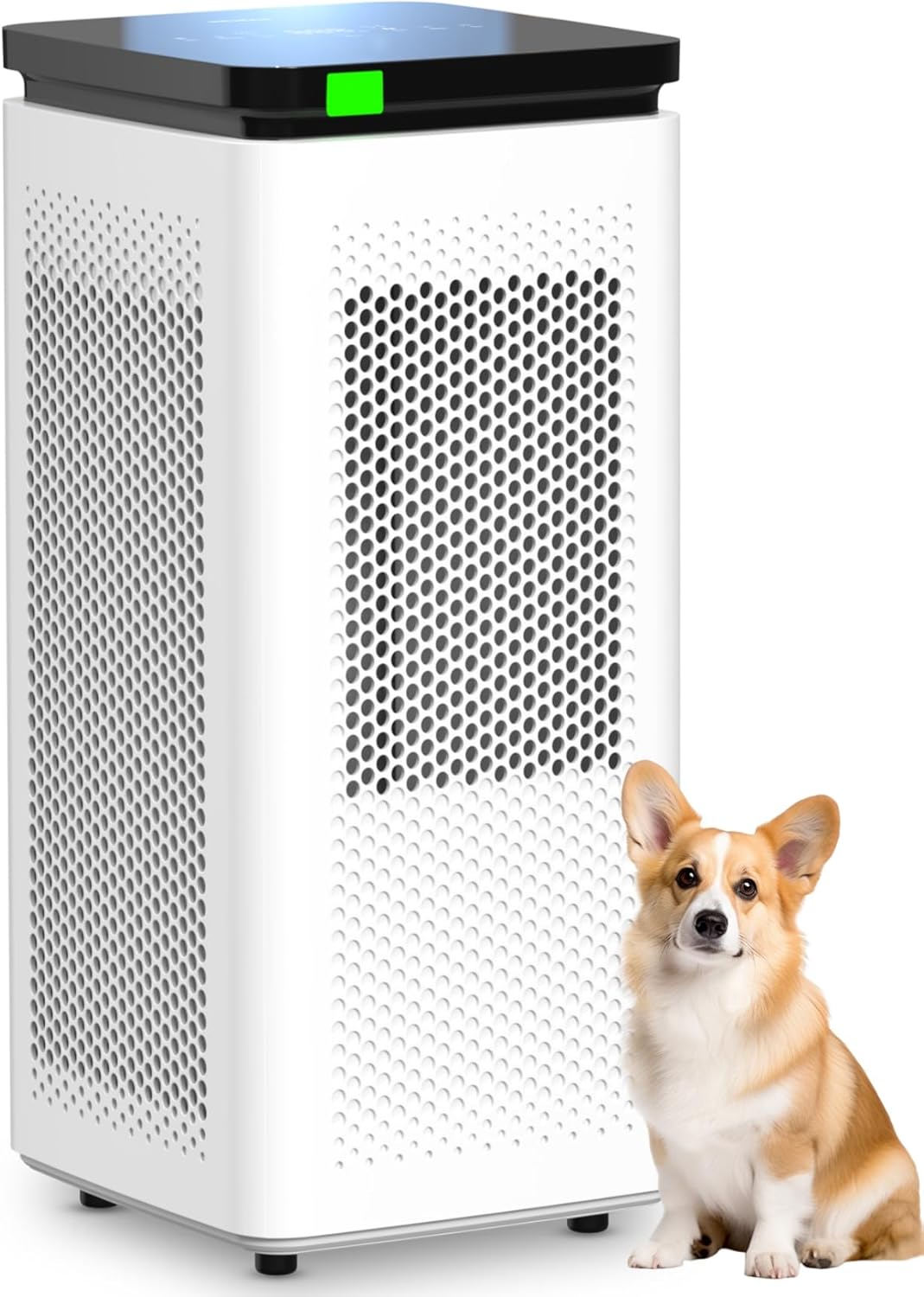 AUCT 13301 - $150 Air Purifiers for Home Large Rooms up to 3500 Ft , H13