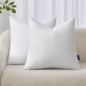 AUCT 13376 - MIULEE 18x18 Inches Pillow Inserts Pack of 2, Decorative Thr