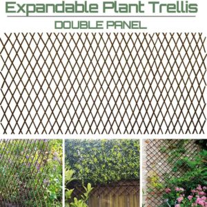 AUCT 12884 - Sumery Nature Willow Trellis Expandable Plant Support Plant