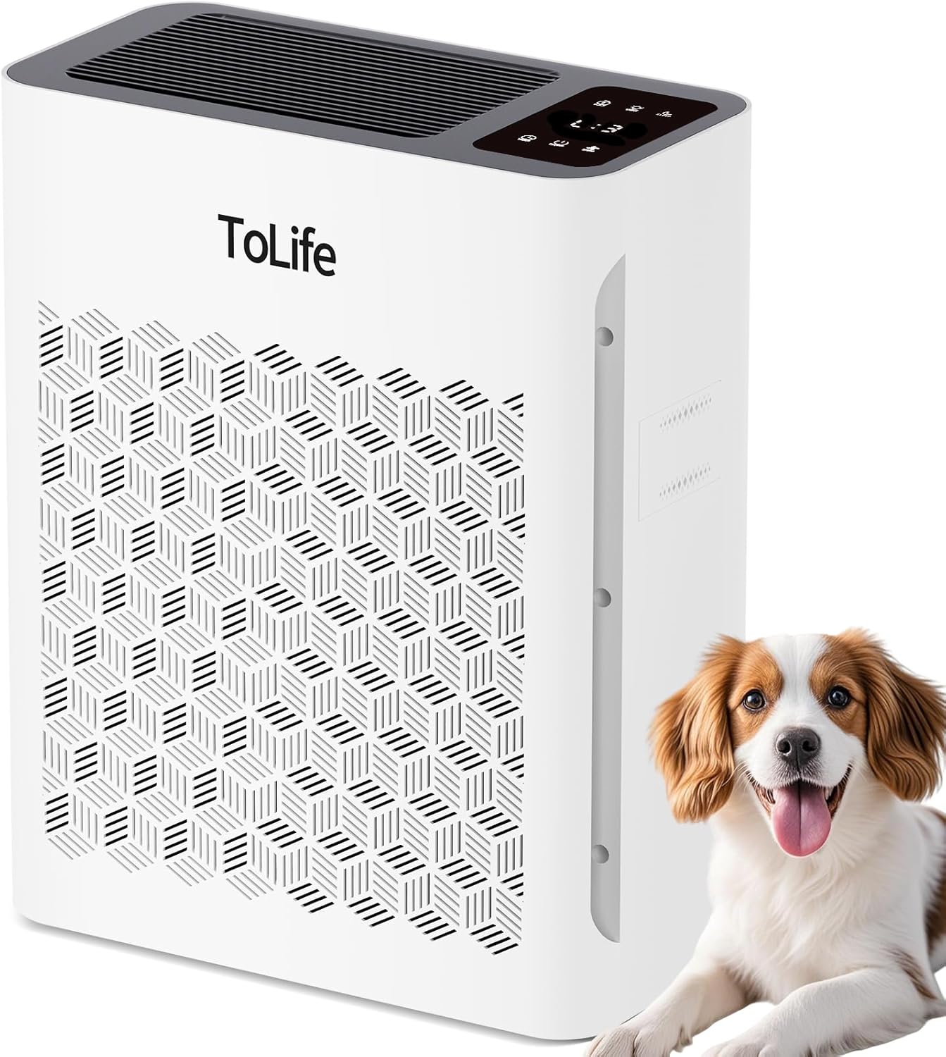 AUCT 13263 - $70 Tolife Air Purifier Large Room, HEPA Air Purifiers for H