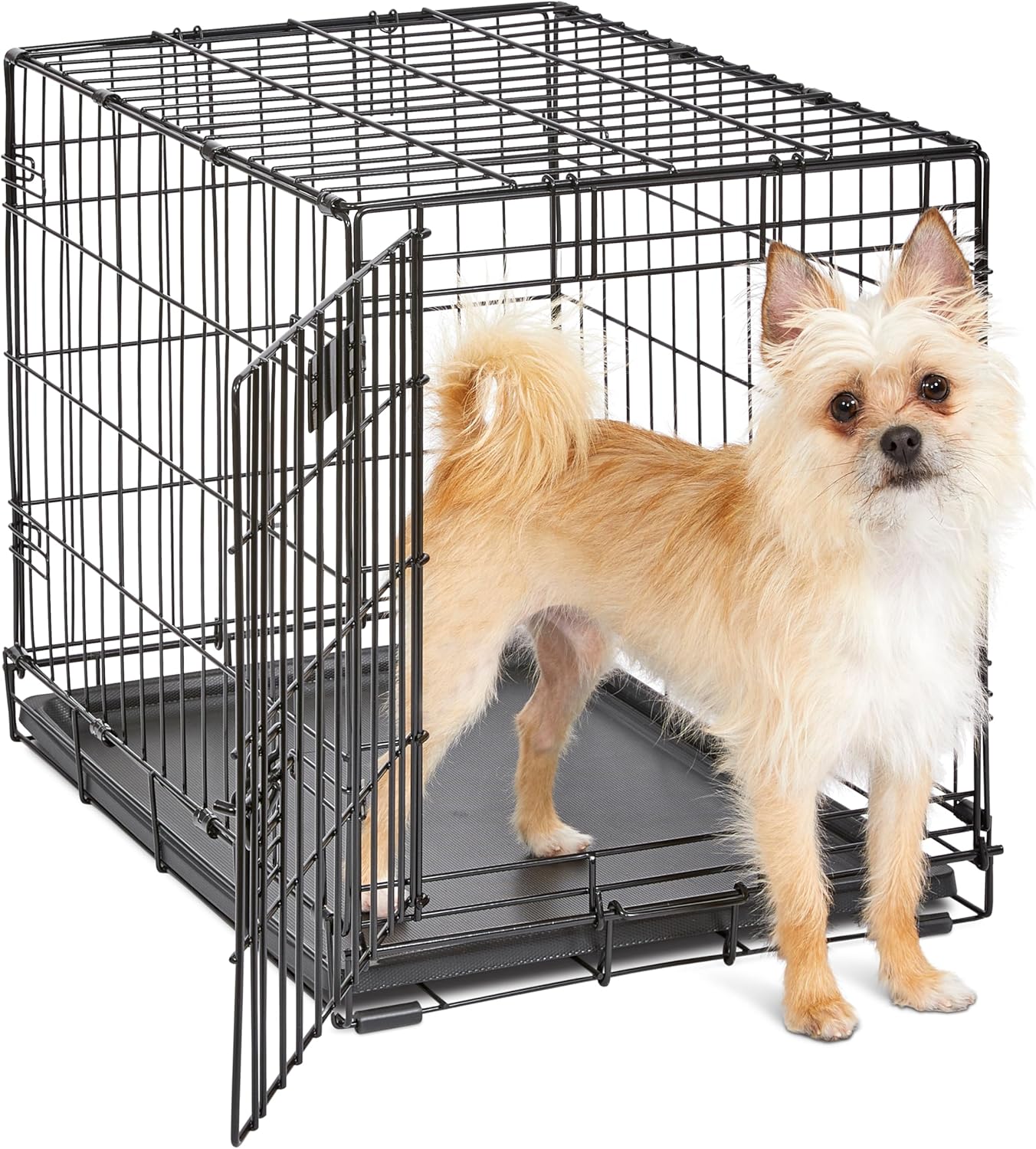 AUCT 12113 - MidWest Homes for Pets 24-Inch iCrate for Small Breeds, 12-2