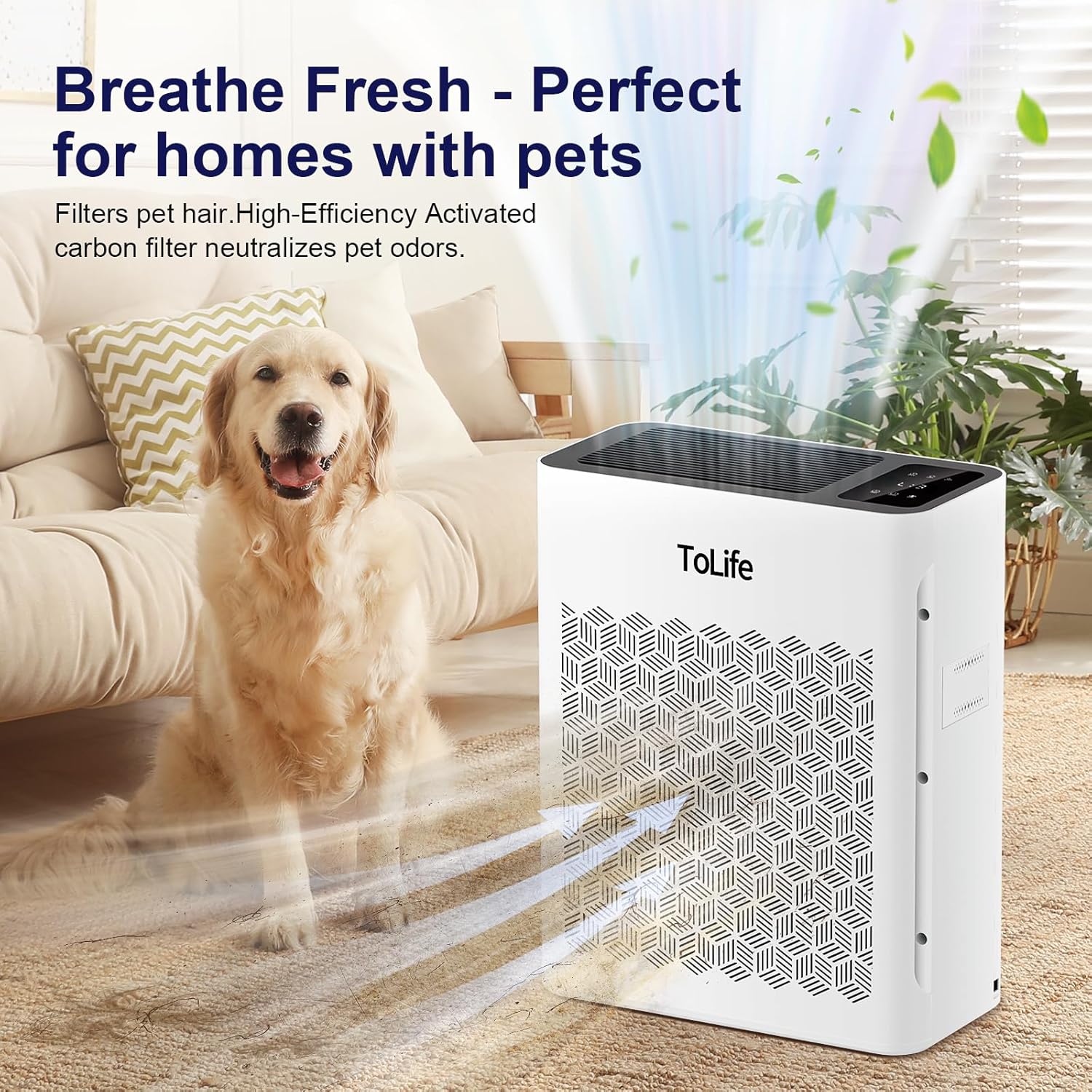 AUCT 13263 - $70 Tolife Air Purifier Large Room, HEPA Air Purifiers for H - Image 2