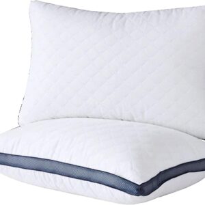 AUCT 14200 - Meoflaw Pillows for Sleeping (2-Pack), Luxury Hotel Pillows