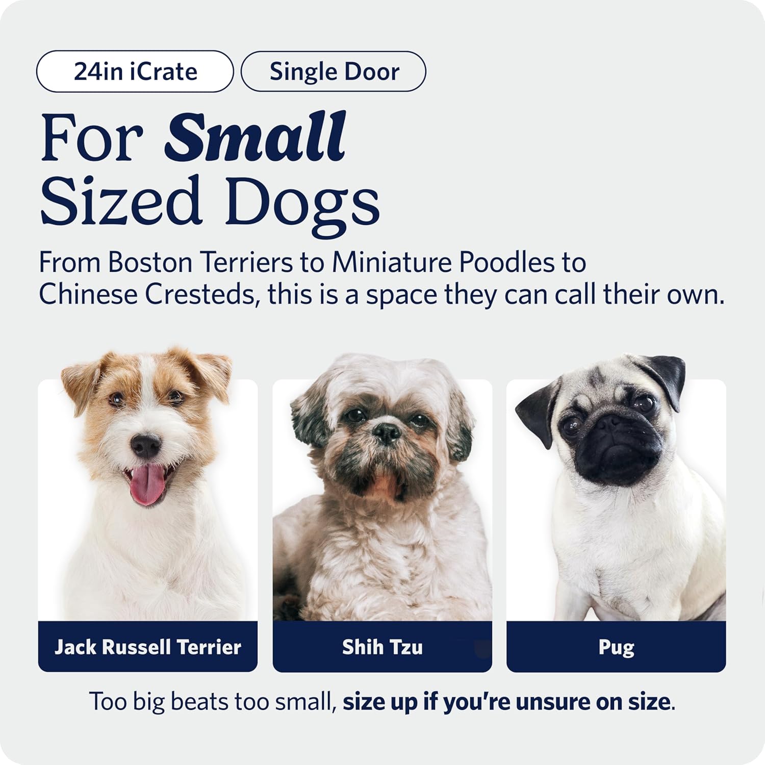 AUCT 12113 - MidWest Homes for Pets 24-Inch iCrate for Small Breeds, 12-2 - Image 2