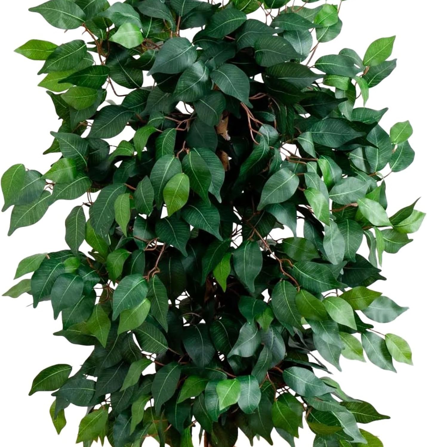 AUCT 15667 - Nearly Natural 4ft Triple Trunk Ficus Silk Tree with Natural Wood Trunks and Dense Foliage - Image 4