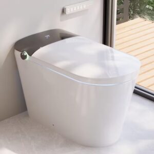 AUCT 14438 - $719 DEERVALLEY Tankless Elongated ADA Bidet Toilet 1.6 GPF