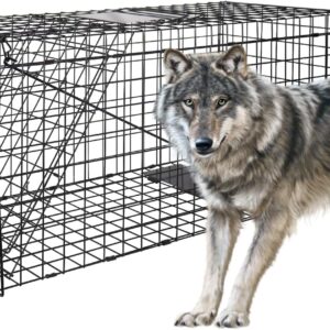 AUCT 16787 - $55 Live Animal Trap Cage,51" X 19" X 17" for Dogs,Foxes,Coyotes,Raccoons | Catch and Rele