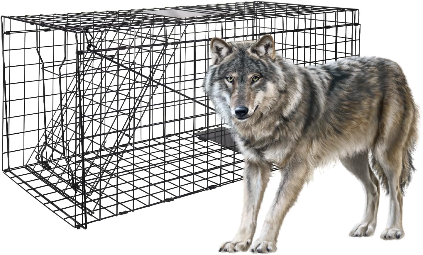 AUCT 16787 - $55 Live Animal Trap Cage,51" X 19" X 17" for Dogs,Foxes,Coyotes,Raccoons | Catch and Rele
