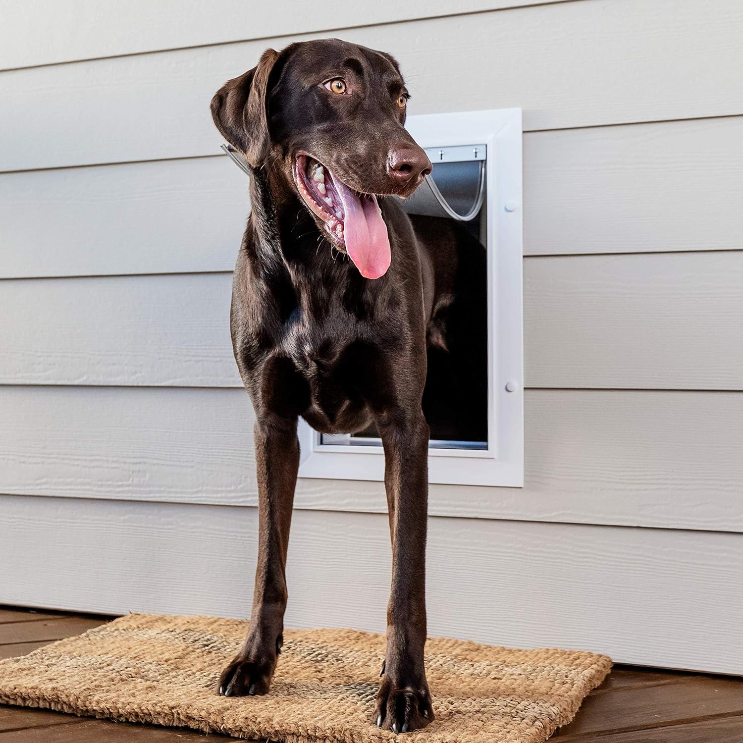 AUCT 16951 - $112 PetSafe Wall Entry Pet Door, Telescoping, Dogs up to 100 lb, Large | Insulates Better - Image 2