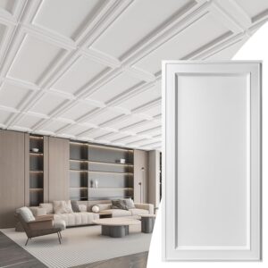AUCT 17826 - $110 WOWSTAR 12-Pack 2x4ft Drop Ceiling Tiles, Waterproof Glue up Ceiling Panels, Modern S