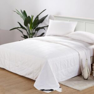 AUCT 20010 - $179 LilySilk 100% Silk Duvet/Comforter Queen, White, for Four Season, Machine Washable Lo
