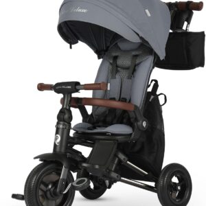 AUCT 19087 - $200 QPlay Baby Bike Stroller for Age 10 Months to 6 Years Old,8 in 1 Folding Toddler Bike