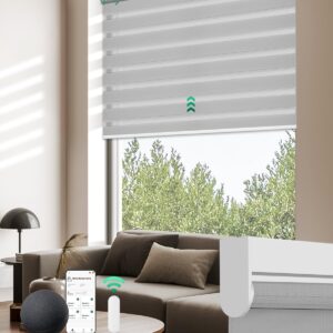 AUCT 19717 - $71 Allesin Motorized Zebra Blinds with Remote, Electric Dual-Layer Shades with Dry Batter
