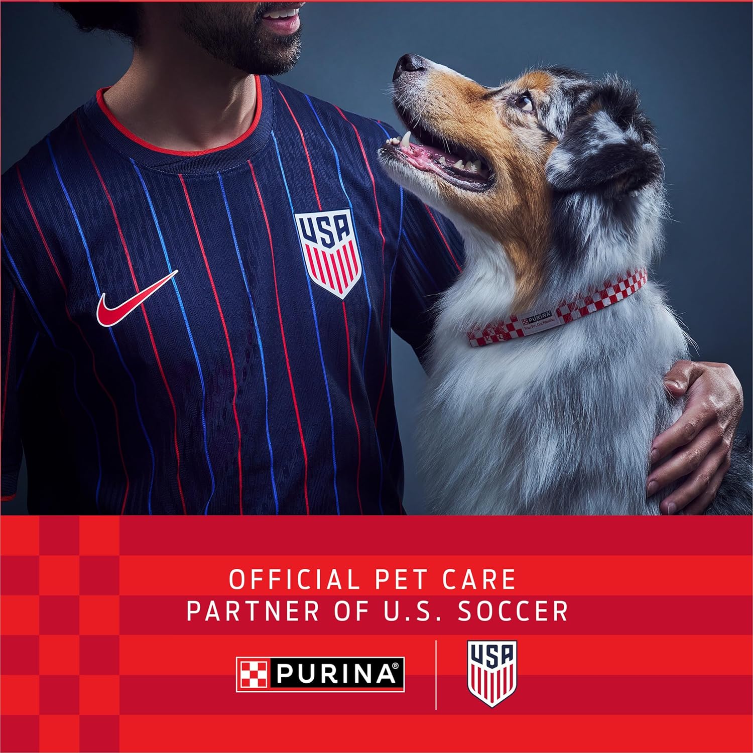 AUCT 18523 - Purina ONE Chicken & Rice Formula Dry Dog Food, 16.5 lb Bag | High protein dog food with a - Image 3