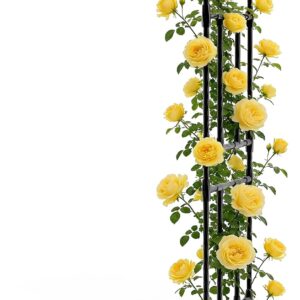 AUCT 20015 - $53 Half Garden Arch - Wall Trellis for Climbing Plants Outdoor, Metal Arch with Plastic-C