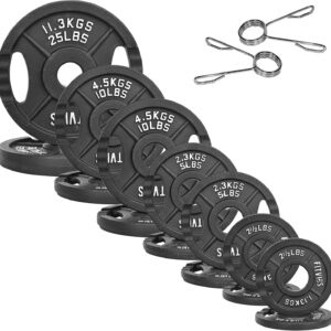 AUCT 18108 - $109 2.5lb-25lb only - Fitvids Standard Cast Iron 1-Inch Weight Plates for Strength Traini