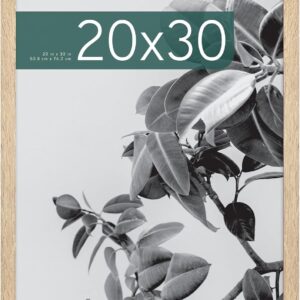 AUCT 18507mm - MCS Studio Gallery Poster Frame, 20x30, Natural Woodgrain, 1-Pack | Studio Gallery Poster