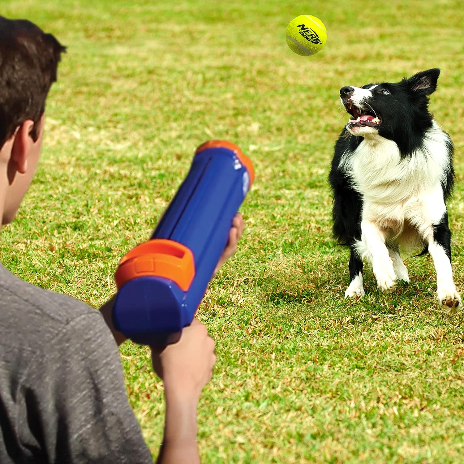 AUCT 18749 - Nerf Dog Tennis Ball Blaster Dog Toy - Image 4