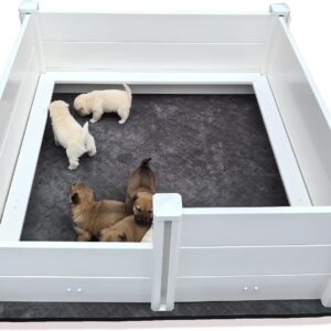 AUCT 18539 - $260 Whelping Box for Dogs,48*48*18in,with Pig Rails & Puppy Washable Pee Pad | Whelping P