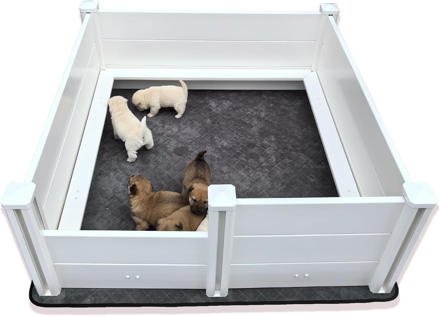AUCT 18539 - $260 Whelping Box for Dogs,48*48*18in,with Pig Rails & Puppy Washable Pee Pad | Whelping P
