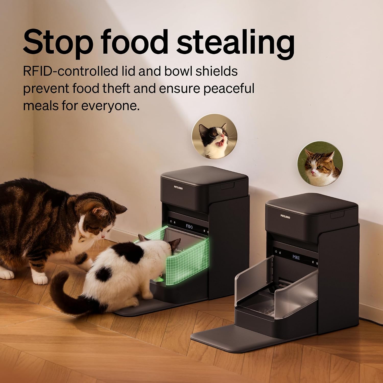 AUCT 18373 - $260 PETLIBRO RFID Cat Feeders for 2 Cats, Collar Sensor for Personalized Meals, Cats Reco - Image 4