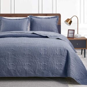 AUCT 21953 - Love's cabin King Size Quilt Set Blue Bedspreads - Soft Bed Summer Lightweight Bedspread C