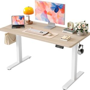 AUCT 20948 - $121 TIQLAB Electric Standing Desk, 47 * 24 Inches Adjustable Height Stand up Desk,Sit Sta