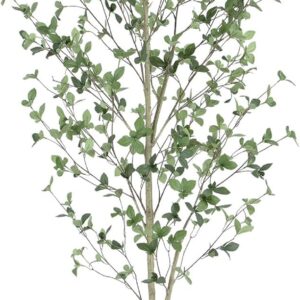 AUCT 20999 - $72 Bellacat 6ft Artificial Quince Leaf Tree with Realistic Trunks, 72in Faux Quince Leaf