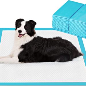 AUCT 20245 - BESTLE Extra Large Pet Training and Puppy Pads Pee Pads for Dogs 28"x34" -40 Count Super A
