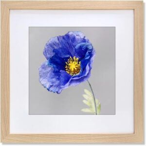 AUCT 22556 - VNVNK 23x23 Frame with 19x19 Mat Wood Color Picture Frame Home Decor-1PCS
