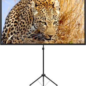 AUCT 21804 - $80 Portable Projector Screen with Stand, Outdoor Movie Screen, 80 Inch 16:9, Light-Weight