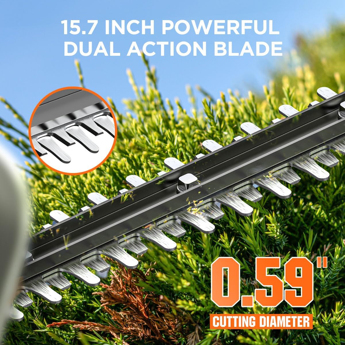 AUCT 21070 - $58 Litheli 20V 15.8' Hedge Trimmer, Light Weight with Strong Power. Come with a 2AH Batte - Image 3