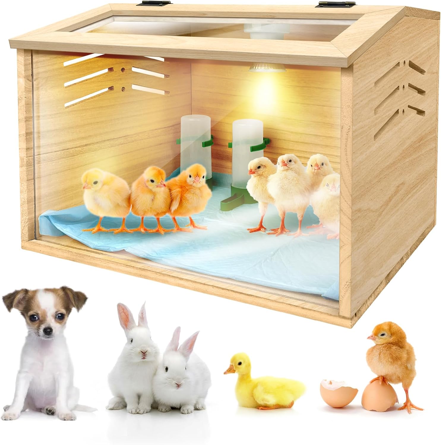 AUCT 22302 - Chicken Brooder Box for Chicks & Quail with 3 Absorbent Pads, Feeder and Waterer - Adjusta