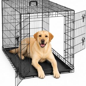 AUCT 21819 - $90 DUMOS 48 Inch Dog Crate, Foldable Medium Large Dog Cage Pet Kennel