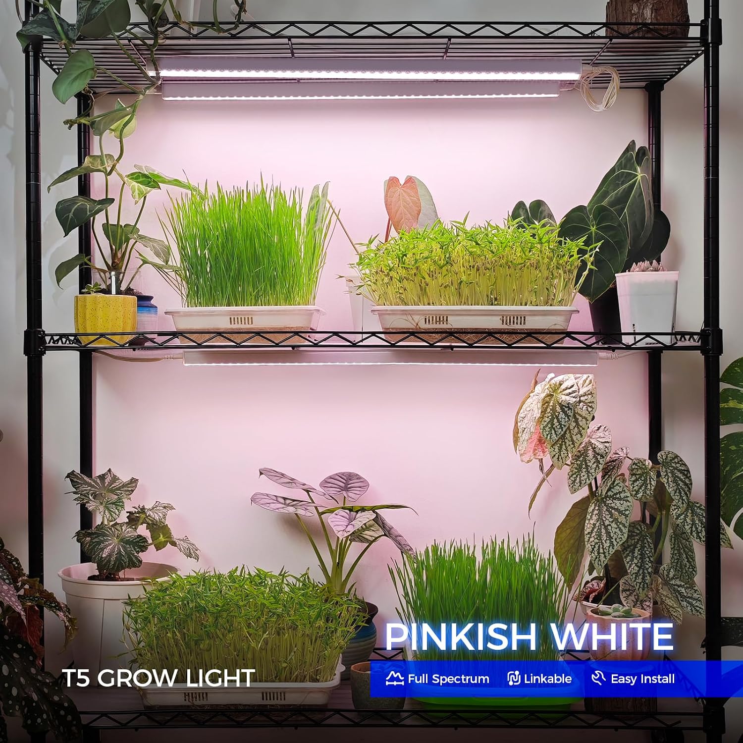AUCT 21460 - $51 Barrina T5 Grow Lights for Indoor Plants, Full Spectrum, 2FT, 8 Packs - Image 2