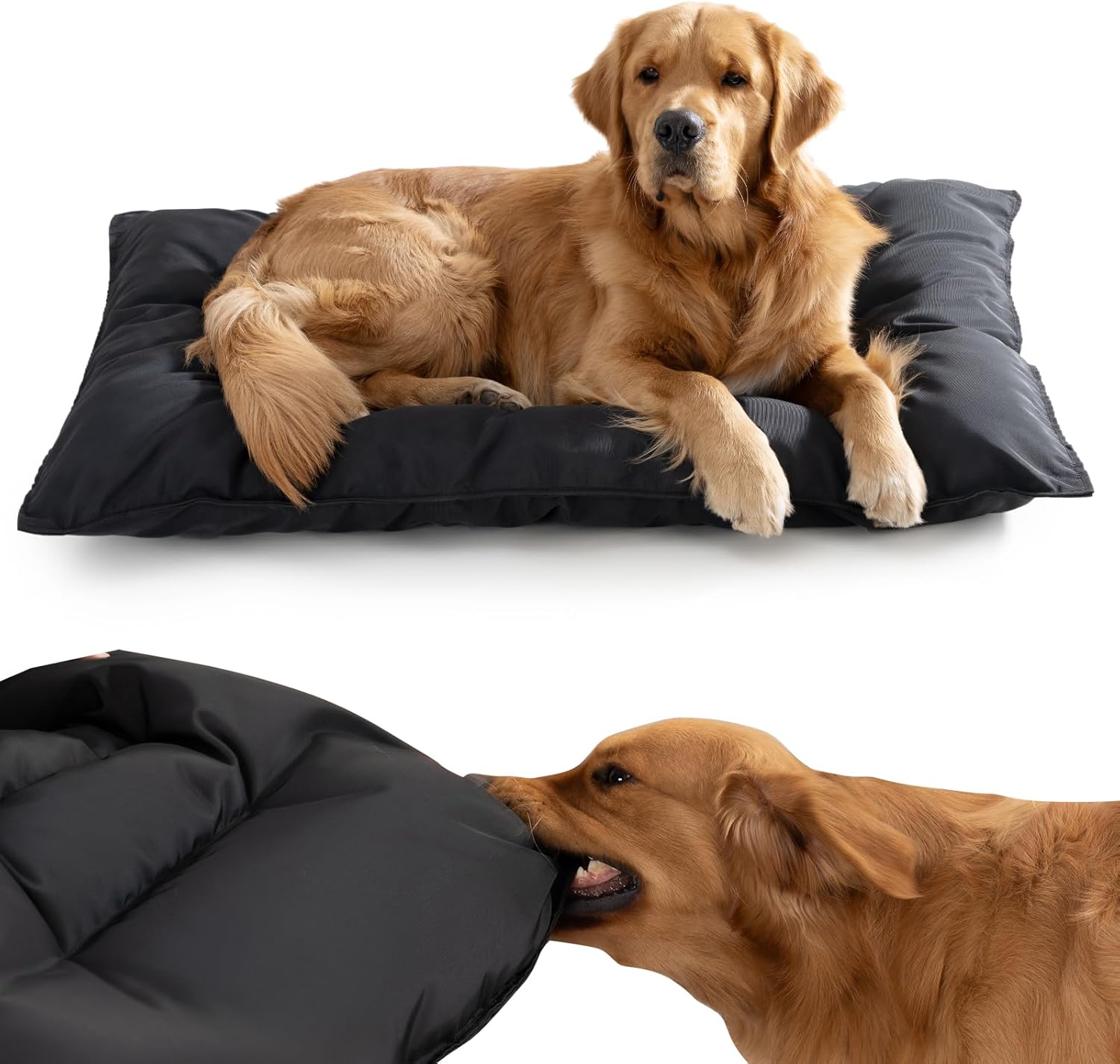 AUCT 21288 - $70 Chew Proof Indestructible Dog Bed - Durable Dog Bed for Aggressive Chewers, Machine Wa