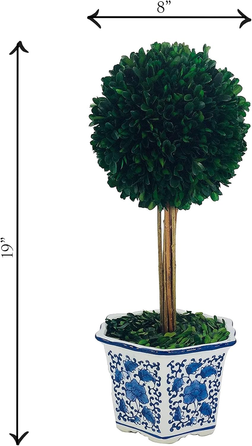 AUCT 20559 - $72 Galt International Naturally Preserved Boxwood Ball Topiary Tree in Hand Painted Blue - Image 4