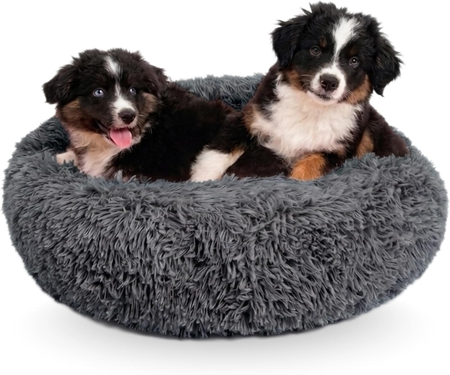 AUCT 20931 - Active Pets Premium Medium Donut Dog Bed, Fits Up to 45 lbs, Machine Washable Cushion, Plu