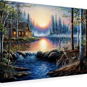 AUCT 21730 - Wrapped Canvas Wall Art - Chuck Black 'Total Bliss' Wall Art for Living Room, Bedroom, or