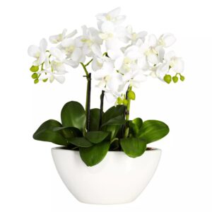 AUCT 24835 - $110 nearly natural Silk Phalaenopsis Floral Arrangement