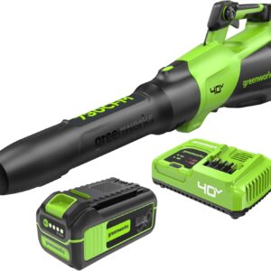 AUCT 23018 - $252 Greenworks 40V Electric Leaf Blower, 730 CFM, 5.0 Ah Battery and Charger