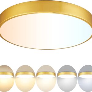 AUCT 24912 - $60 Gold LED Ceiling Light Fixture Flush Mount 15 inch 36W, Dimmable Light Fixtures Ceilin