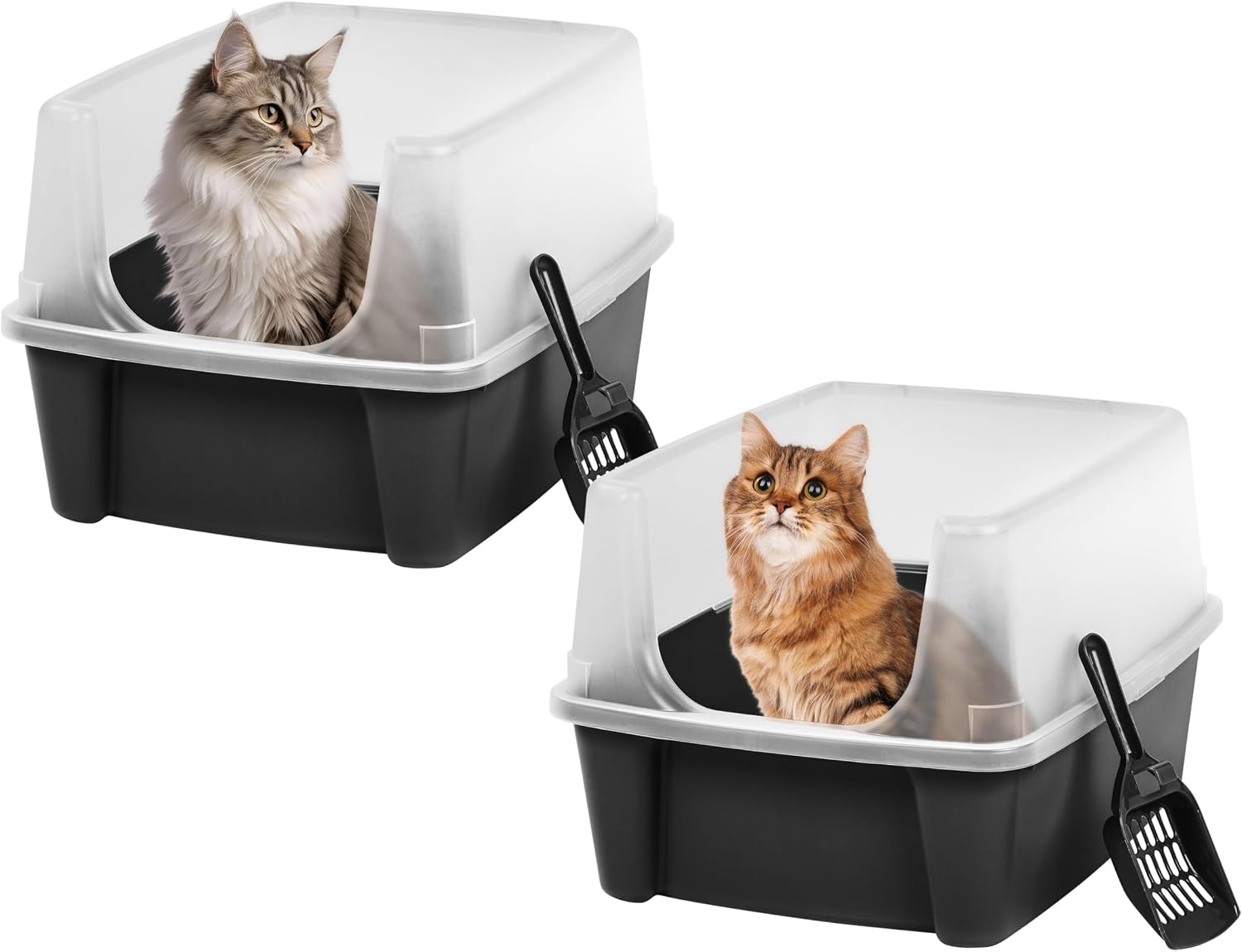 AUCT 22796 - IRIS USA High Sided Cat Litter Box, Scatter Shield, Large, Black 2 Pack